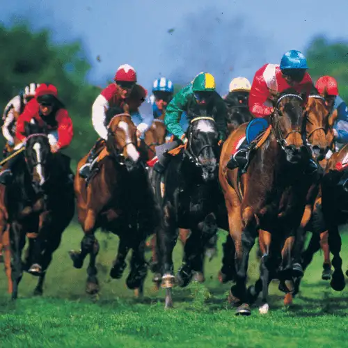 Horse racing
